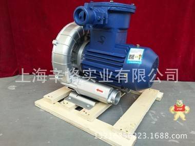 防爆鼓风机 环形防爆鼓风机 旋涡防爆鼓风机 高压变频防爆鼓风机 漩涡鼓风机