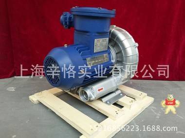 防爆鼓风机 环形防爆鼓风机 旋涡防爆鼓风机 高压变频防爆鼓风机 漩涡鼓风机