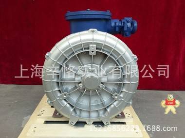 防爆鼓风机 环形防爆鼓风机 旋涡防爆鼓风机 高压变频防爆鼓风机 漩涡鼓风机