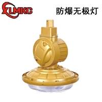 SBD1106-YQL65免维护节能防爆灯 粉尘防爆无极灯