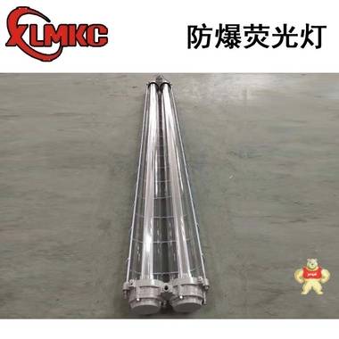 新黎明科创BPY(T5)防爆荧光灯 28W防爆荧光灯 新黎明,新黎明T5防爆荧光灯,2*28W防爆荧光灯,T5防爆荧光灯,1*28W防爆荧光灯