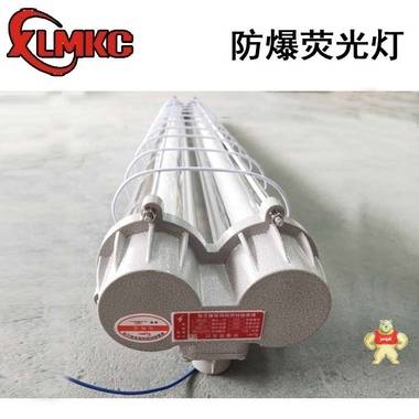 新黎明科创BPY（T5）防爆荧光灯 28W防爆荧光灯 新黎明,新黎明T5防爆荧光灯,2*28W防爆荧光灯,T5防爆荧光灯,1*28W防爆荧光灯