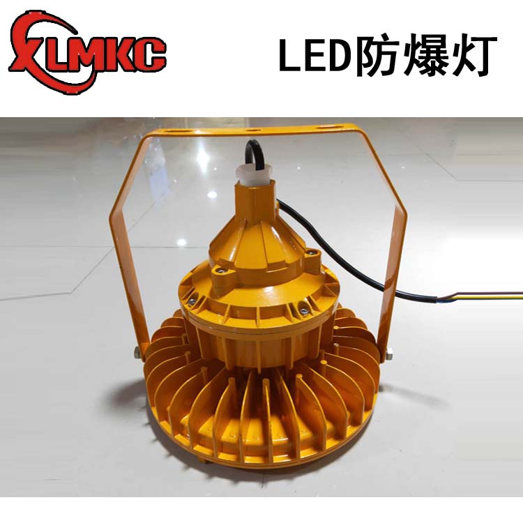 法兰式100WLED防爆灯 护栏式LED防爆灯新黎明科创LED防爆灯