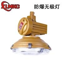 SBD1105-YQL120免维护节能防爆灯 80W/100W/150W防爆无极灯