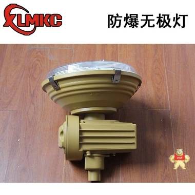 SBD1105-YQL120免维护节能防爆灯 80W/100W/150W防爆无极灯 新黎明,SBD1105,SBD1105-YQL120,SBD1105-YQL150,免维护节能防爆灯