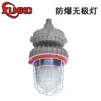 CCD94防爆无极灯 55W/85W/125W高频防爆无极灯 药厂防爆灯