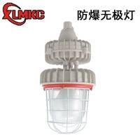 CCD94防爆无极灯 55W/85W/125W高频防爆无极灯 药厂防爆灯