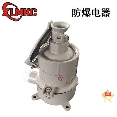 AC-16/220V防爆插销 16/380V防爆插销 AC防爆插销,AC-16/220V,AC-16/380V,防爆插销,防爆插座