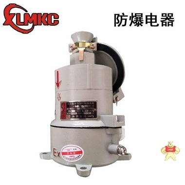 AC-16/220V防爆插销 16/380V防爆插销 AC防爆插销,AC-16/220V,AC-16/380V,防爆插销,防爆插座