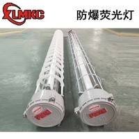 1.2米双管防爆荧光灯 2*40W防爆荧光灯 新黎明科创LED防爆荧光灯