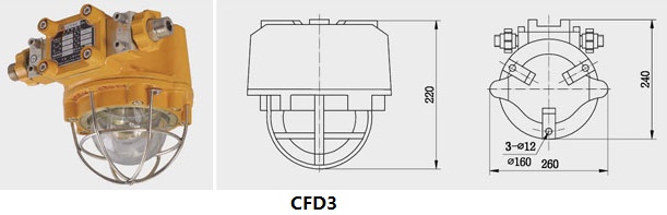 CFD2a船用防爆灯 CFD2a,船用防爆灯,防爆灯,船用