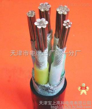 电缆KVVRP32钢丝铠装屏蔽控制电缆KVVRP32 电缆KVVRP32钢丝铠装屏蔽控制电缆KVVRP32,电缆KVVRP32钢丝铠装屏蔽控制电缆KVVRP32,40芯电话线 HYA市内通信电缆/价格,KVVRC天车手柄线8,DLD-KVV电缆DLD-KVV电缆