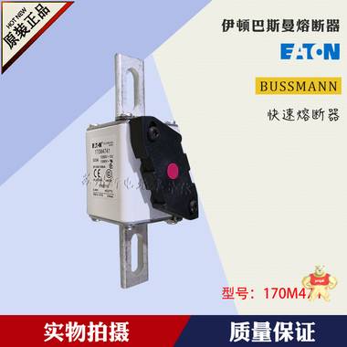 伊頓BUSSMANN保險絲 170M4763 正品原裝 170M4763,BUSSMANN,熔斷器,保險絲,伊頓巴斯曼