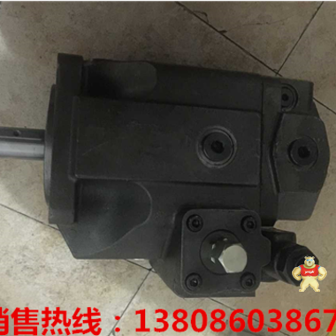 供應(yīng)寧河縣泵芯T6C-006派克丹尼遜葉片泵泵芯 柱塞泵,齒輪泵,液壓站