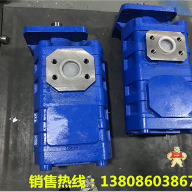 汉中市伺服电机泵HSNH7400-32NZ 柱塞泵,齿轮泵,液压站