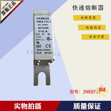 西门子SIEMENS快速熔断器 3NE8725-1 正品 3NE8725-1,西门子,SIEMENS,熔断器,保险丝