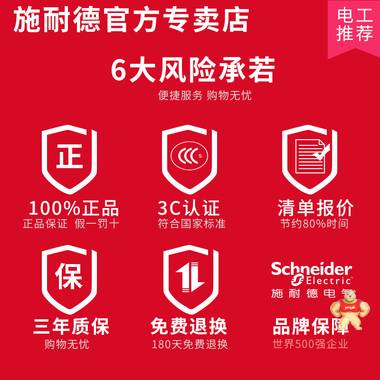 施耐德空氣開關(guān)小型空開開關(guān)1P+N 3P 4P 1P16A~63A 家用斷路器2P A9P08620,施耐德,美國