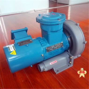 防爆高壓鼓風(fēng)機(jī)，防爆鼓風(fēng)機(jī)，高壓防爆鼓風(fēng)機(jī) 防爆高壓鼓風(fēng)機(jī),防爆鼓風(fēng)機(jī),高壓防爆鼓風(fēng)機(jī),環(huán)形防爆鼓風(fēng)機(jī),紐瑞防爆鼓風(fēng)機(jī)