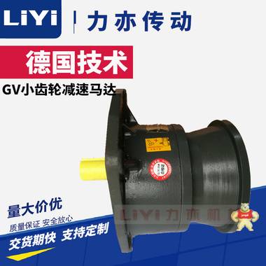 【LIYI力亦】GV32小齿轮马达减速机 GV32立式减速电机 食品机械用 升降机