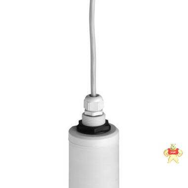 德國E+H  波液位計探頭  FDU91-RG2AA  超聲波流量 測量探頭 廠家直銷大量 超聲波探頭,EH超聲波液位計,FMU90