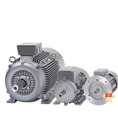 西门子高压电机；1RA3404-3KF60-Z 西门子电机,西门子进口电机,西门子高压电机,阿特拉斯电机