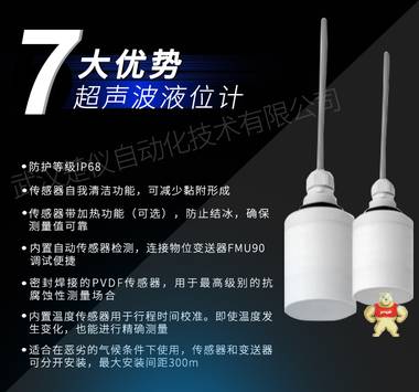 德國E+H  波液位計探頭  FDU91-RG2AA  超聲波流量 測量探頭 廠家直銷大量 超聲波探頭,EH超聲波液位計,FMU90