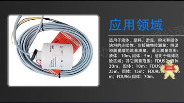 德國E+H  波液位計探頭  FDU91-RG2AA  超聲波流量 測量探頭 廠家直銷大量 超聲波探頭,EH超聲波液位計,FMU90