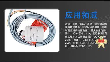 德国E+H  波液位计探头  FDU91-RG2AA  超声波流量 测量探头 厂家直销大量 超声波探头,EH超声波液位计,FMU90