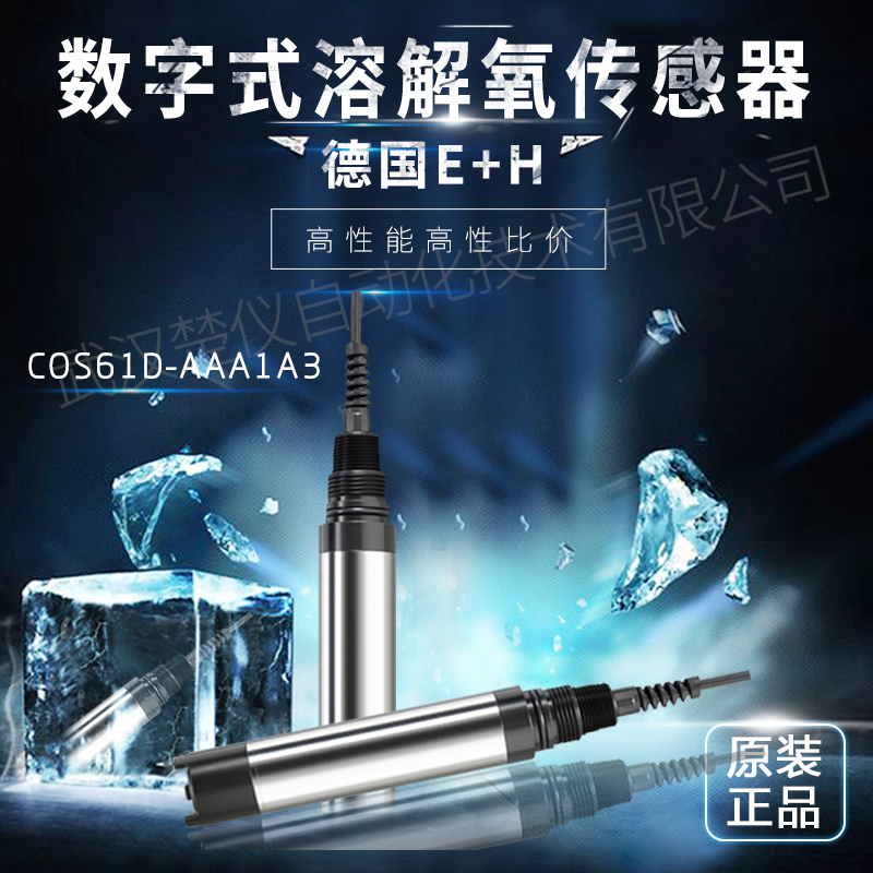 德国E+H溶氧探头COS61D-AAA1A3高性能数字式荧光法溶解氧传感器