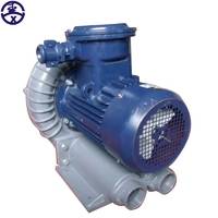 防爆旋渦風(fēng)機(jī) 旋渦防爆風(fēng)機(jī) 旋渦式防爆鼓風(fēng)機(jī)