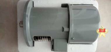 ZYS-1A-M ZYS-1A,ZYS-1A-M,电机,南洋