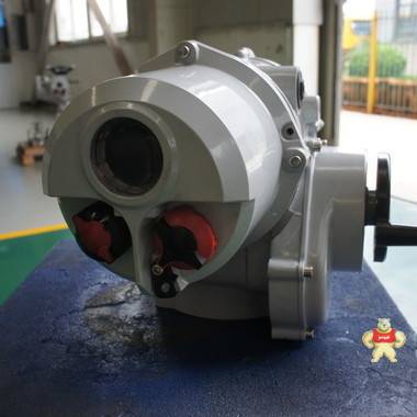 IQT(M)300智能一体化电动执行器 IQT(M)300电动执行器,罗托克电动执行器,IQT角行程,罗托克角行程,角行程电动执行器