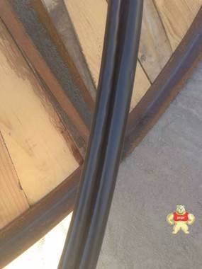 UGF1*16高压橡套电缆 行车控制电缆,耐油耐腐蚀电缆,矿用信号电缆,矿用电话线,矿用防爆通讯电缆