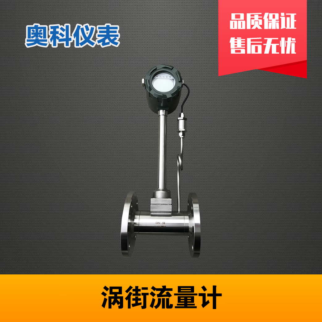 智能型蒸汽流量计 江苏奥科仪表