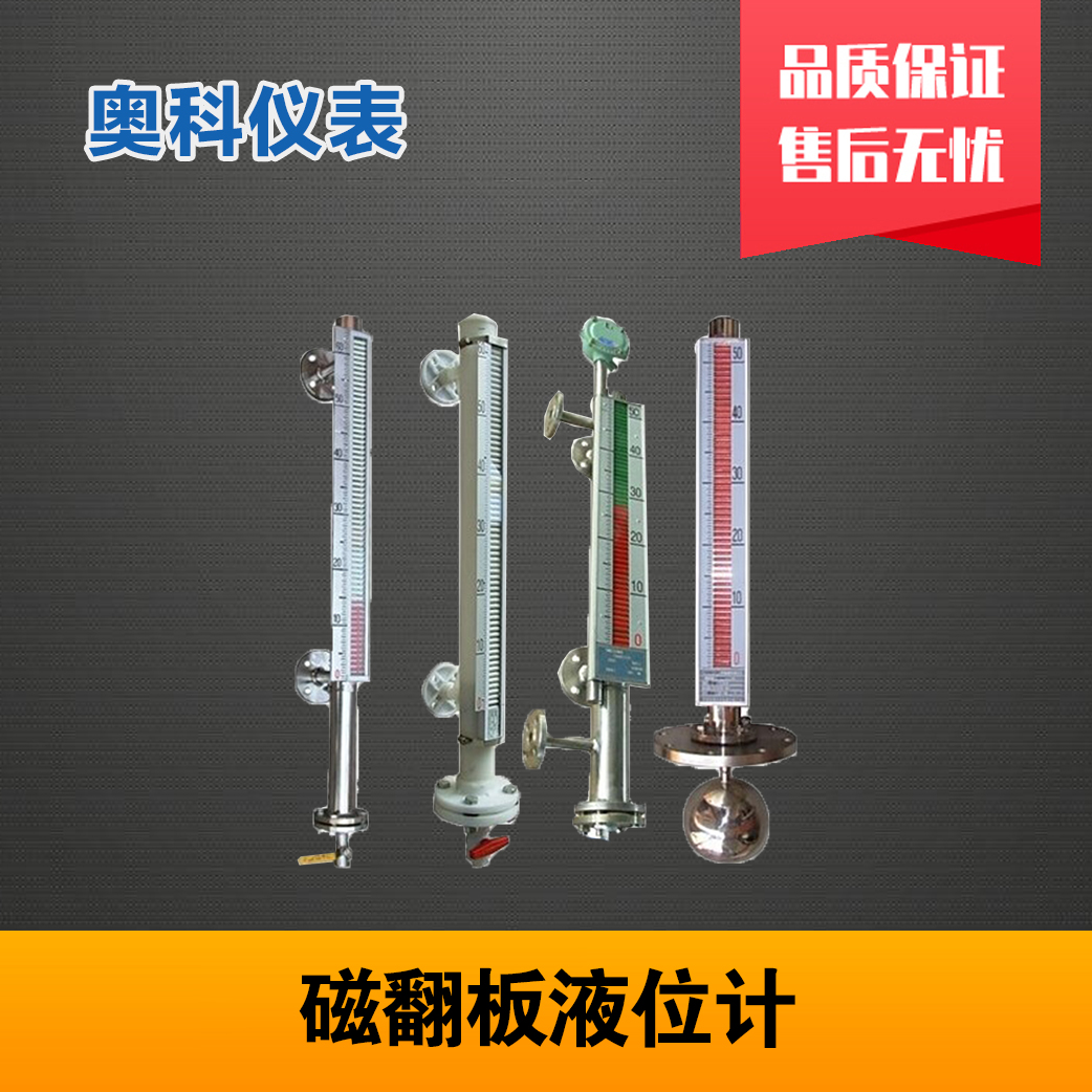 储罐液位计 江苏奥科仪表