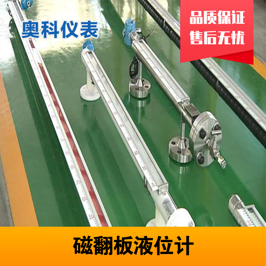 储罐液位计 江苏奥科仪表