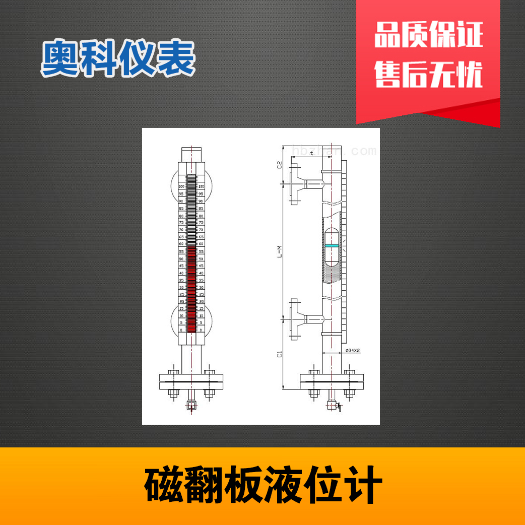 储罐液位计 江苏奥科仪表
