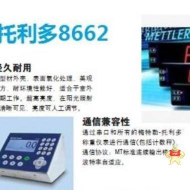 梅特勒托利多6235-1000大屏幕顯示器 
