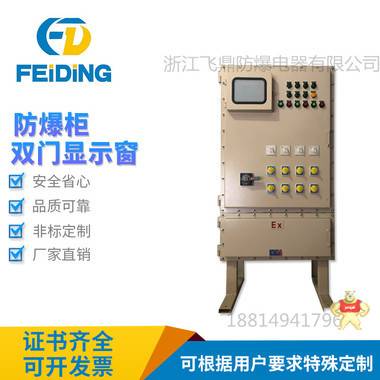 直销立式防爆柜双门显示器防爆仪表控制箱防爆控制箱防爆配电柜 