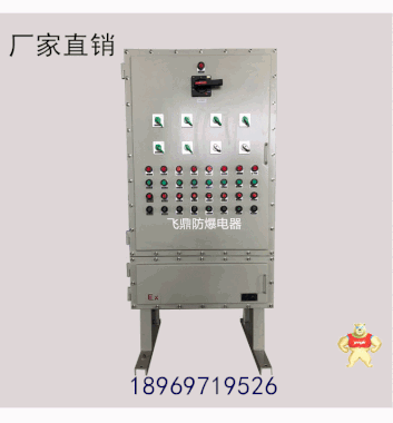 直销立式防爆柜双门显示器防爆仪表控制箱防爆控制箱防爆配电柜