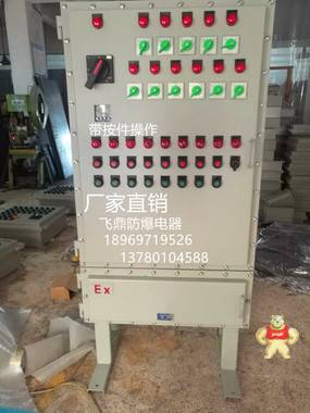 直销立式防爆柜双门显示器防爆仪表控制箱防爆控制箱防爆配电柜 