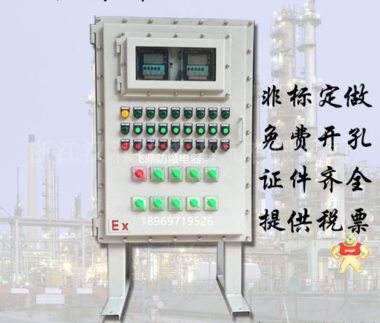 直销立式防爆柜双门显示器防爆仪表控制箱防爆控制箱防爆配电柜