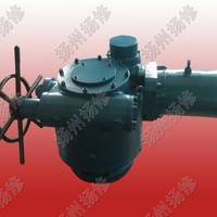 揚(yáng)修電力DZW-250直行程電動(dòng)執(zhí)行器