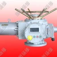 揚(yáng)修電力F-DZW120智能型直行程電動(dòng)執(zhí)行器