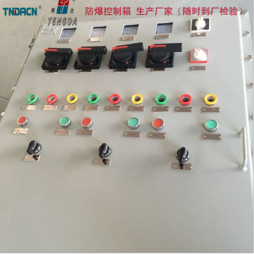 立式钢板防爆电气控制箱 粉尘/气体 防爆控制箱生产厂家