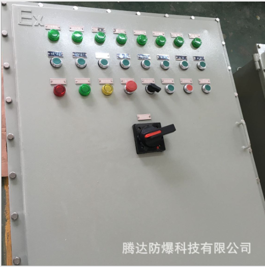 立式钢板防爆电气控制箱 粉尘/气体 防爆控制箱生产厂家
