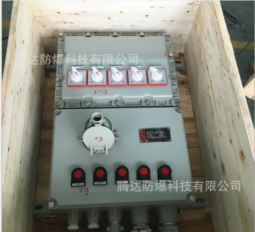 防爆开关按钮控制箱