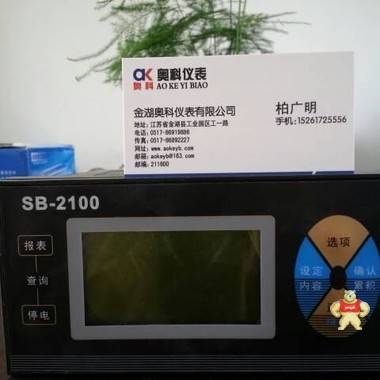 SB-2100流量积算仪型号 SB-2100流量积算仪价格,SB-2100流量积算仪厂家,SB-2100流量积算仪型号