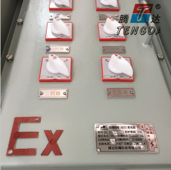 防爆控制柜 防爆配电柜 厂家直销 专业定制