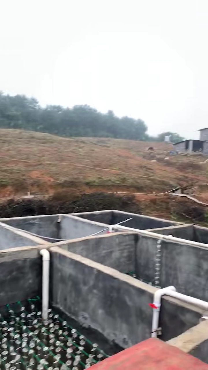 永州养猪场废水专业处理厂家 